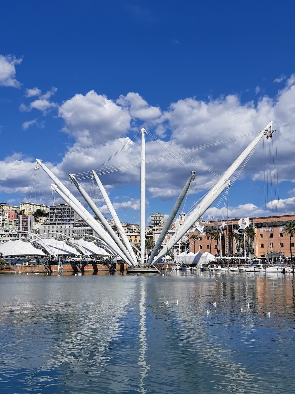 Alter Hafen (Porto Antico)