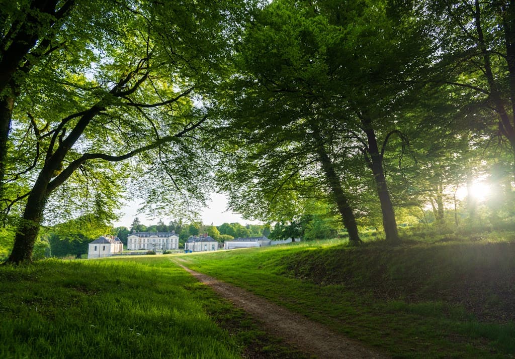 Domaine de Kerguehennec