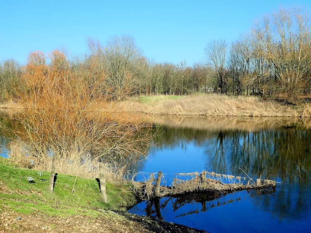 Lippe