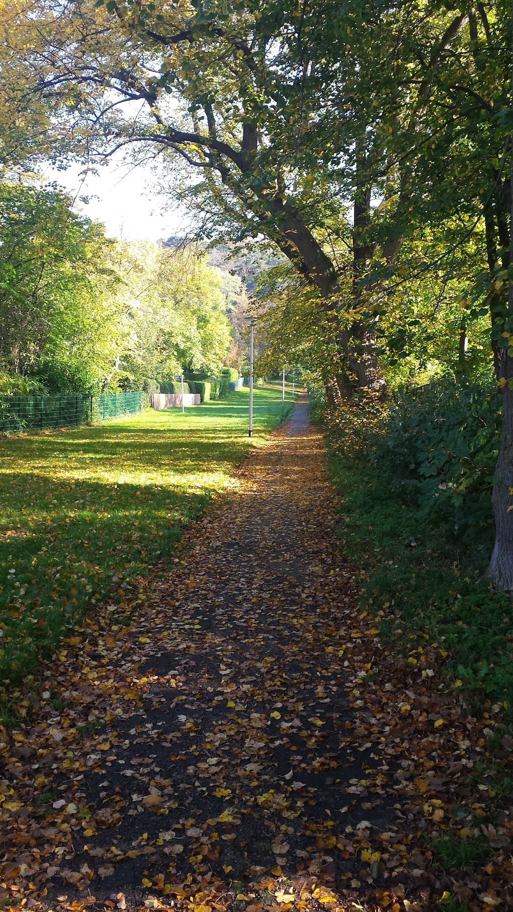 Silberfundstraße