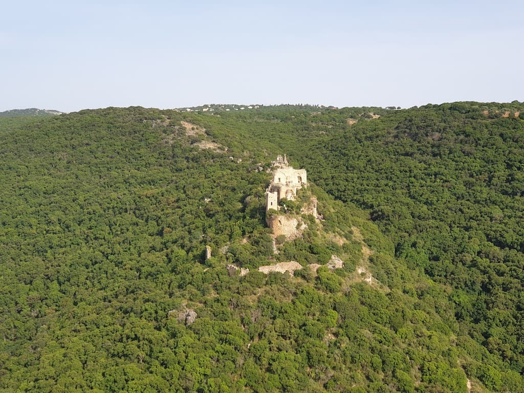 Schloss Montfort