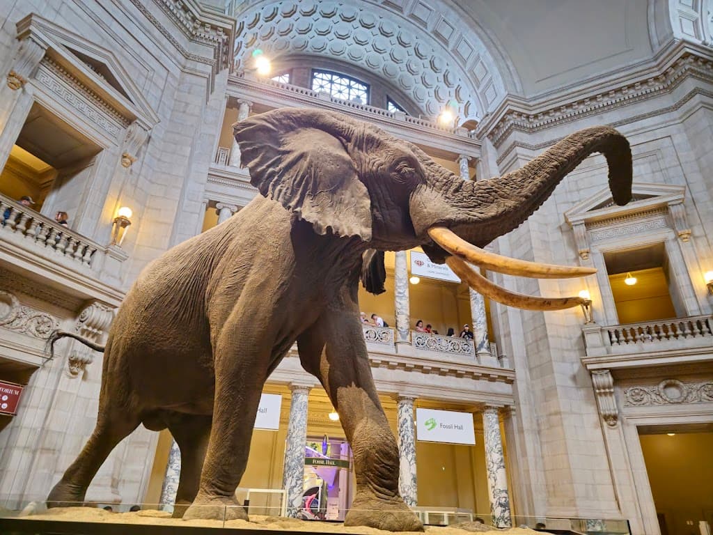 Smithsonian Institution
