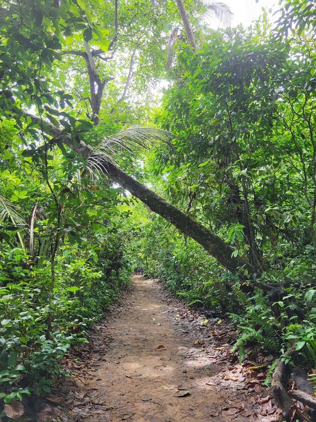 Nationalpark Cahuita