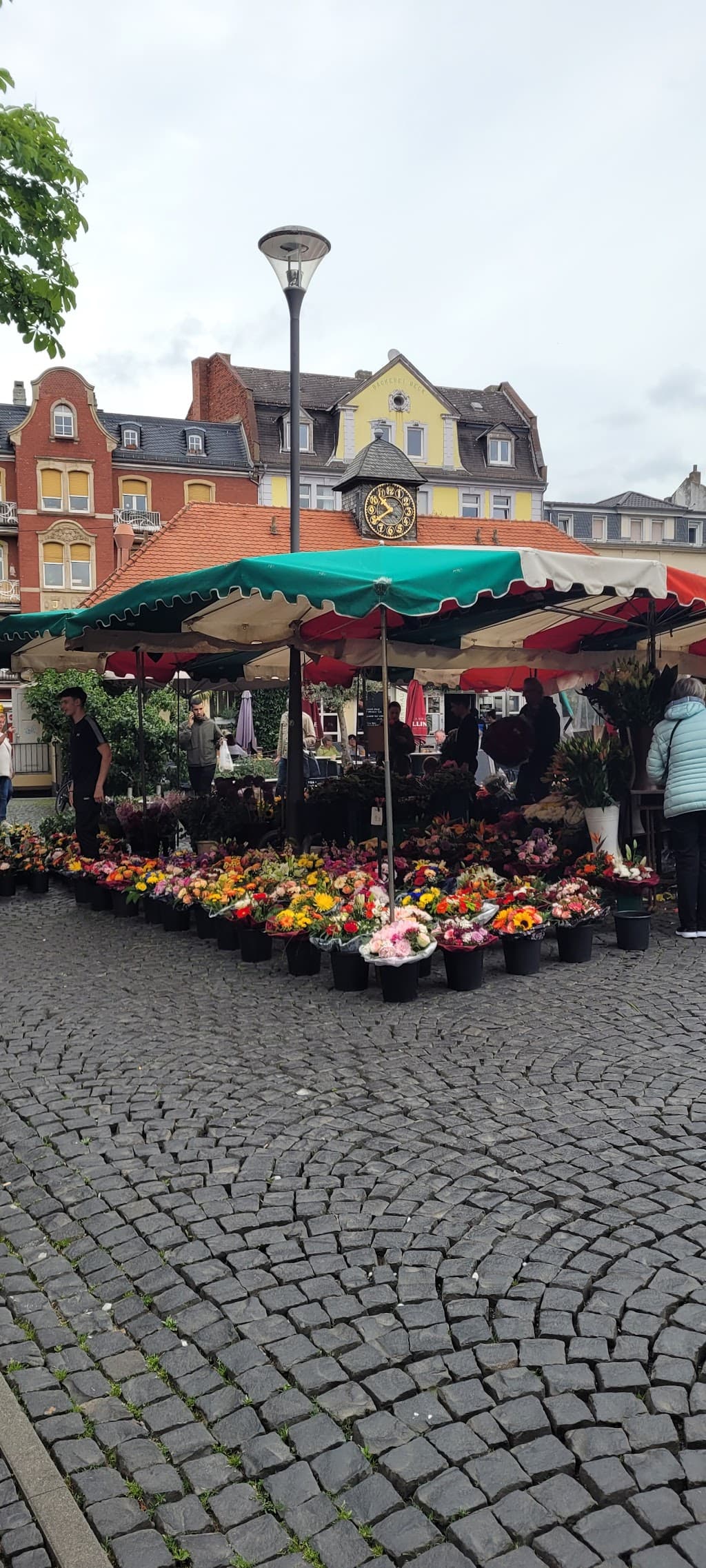 Wochenmarkt Offenbach