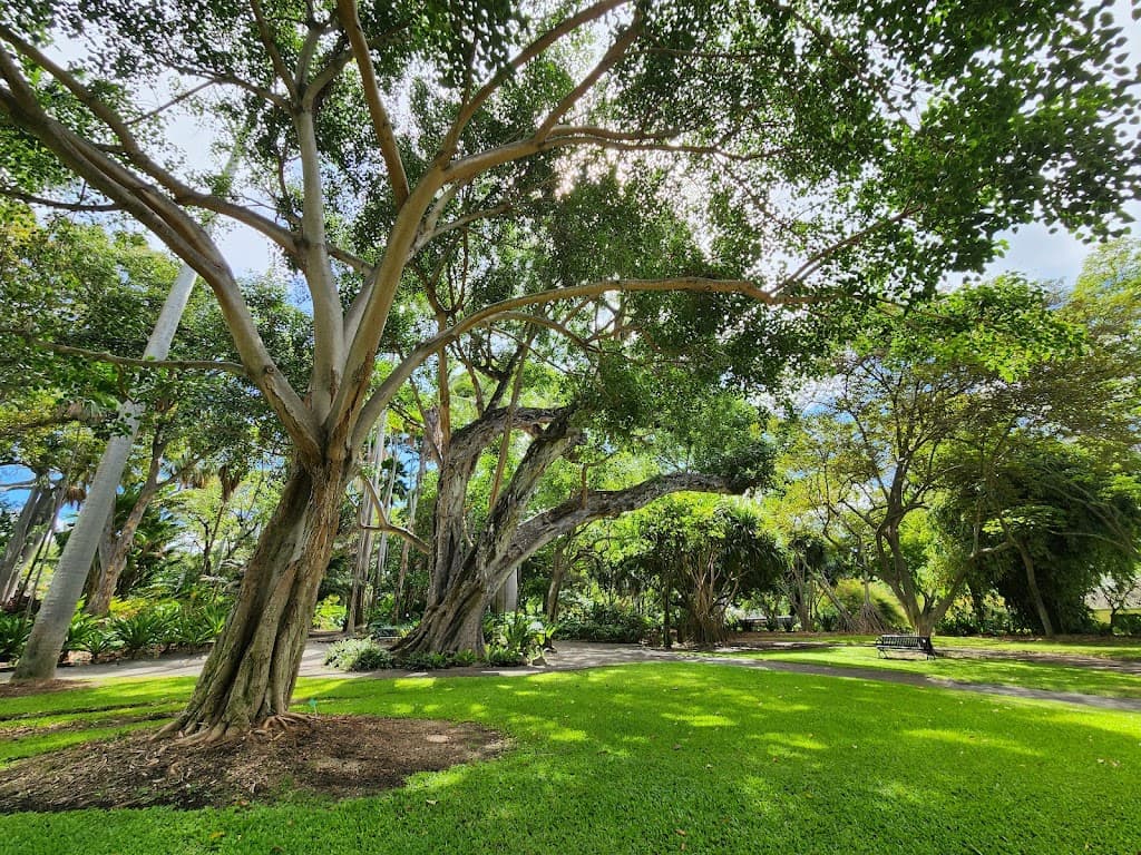 Foster Botanischer Garten