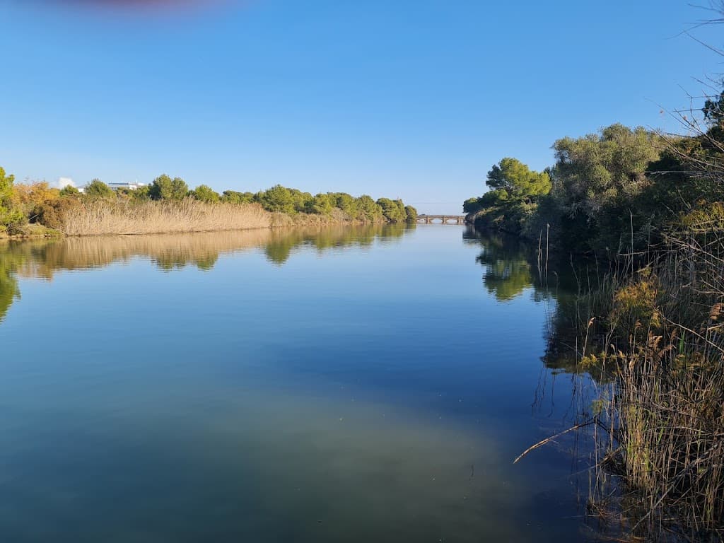 Naturpark S'Albufera