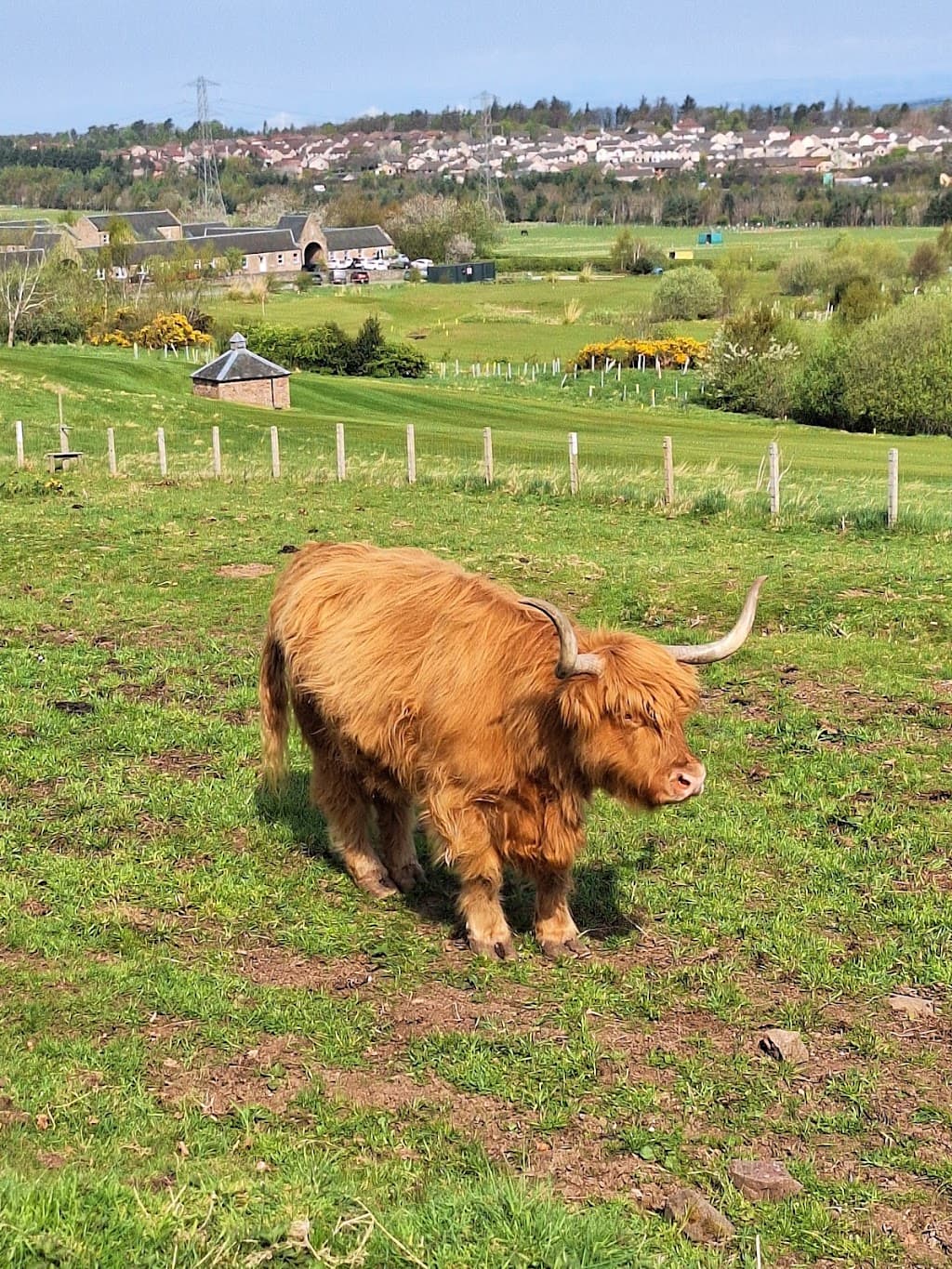 Swanston Farm