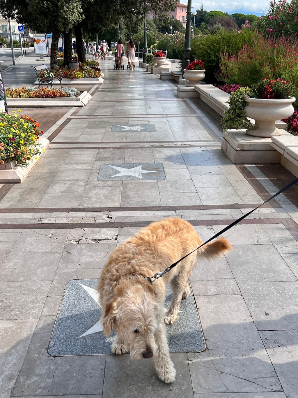 Kroatischer Walk of Fame