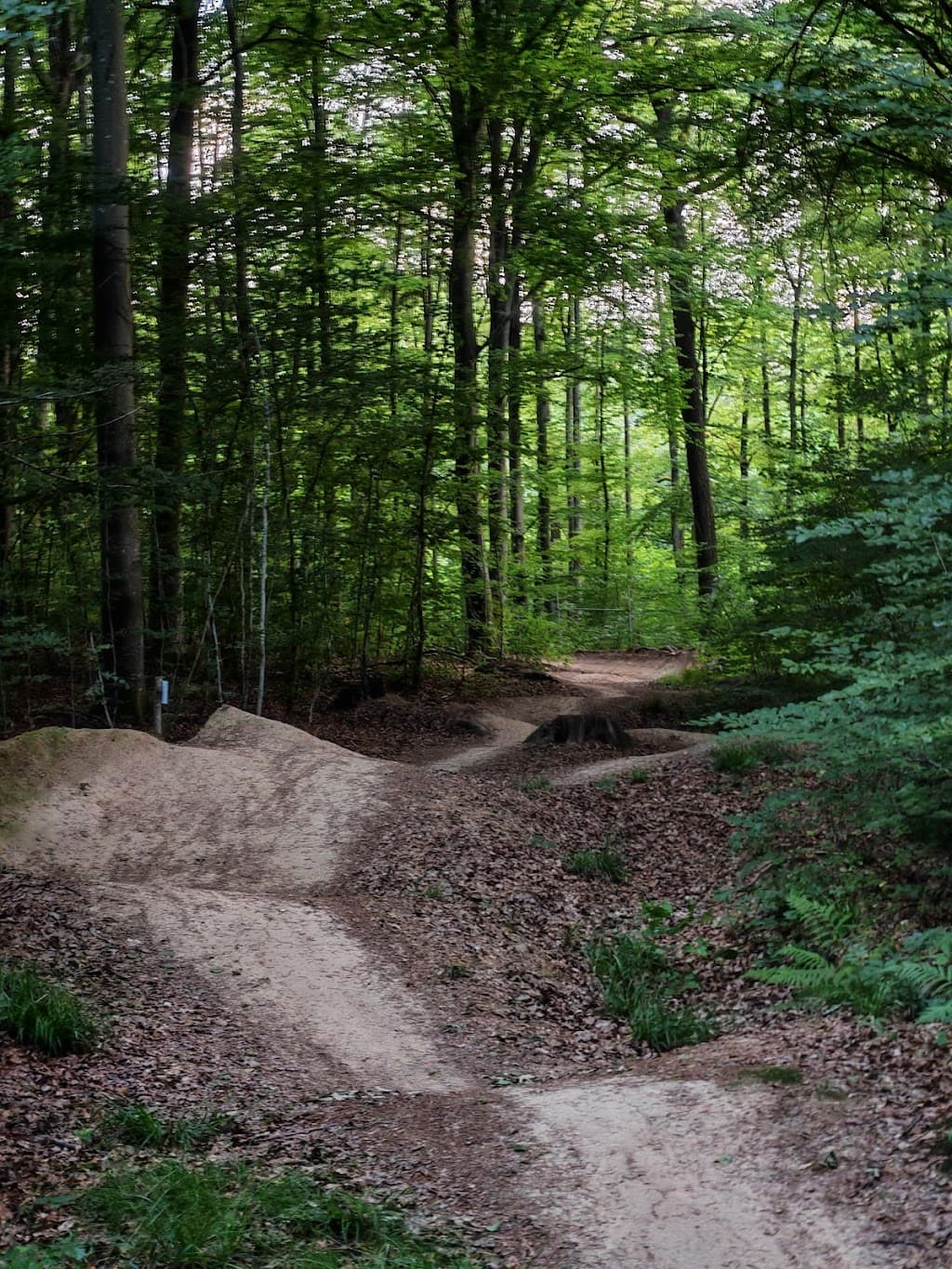 Energie-Rundweg Tübingen