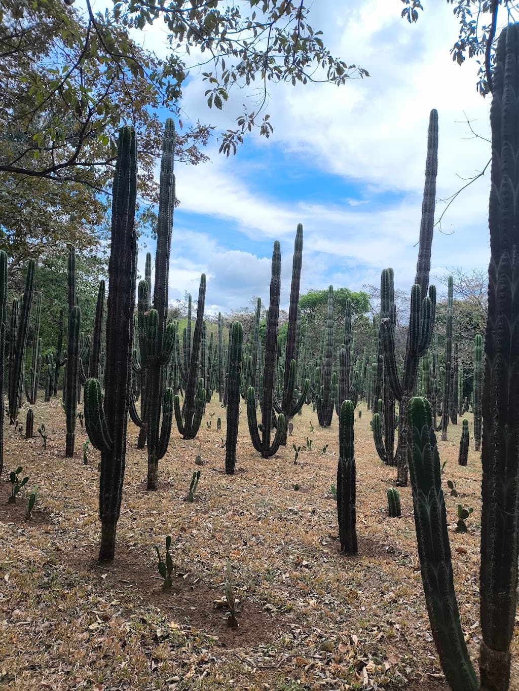 La Senda Costa Rica