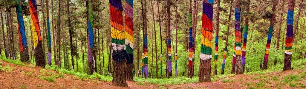 Nuevo Bosque de Oma
