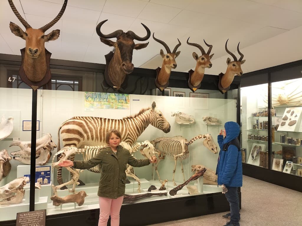 Bell Pettigrew Museum