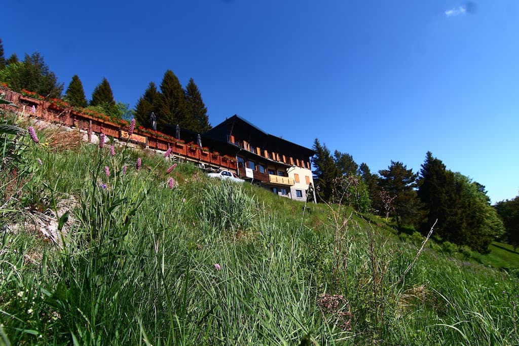 Inn and B & B "The Schallern"