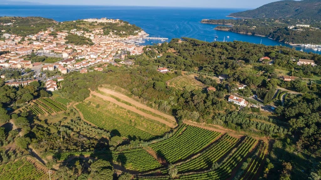 Azienda Agricola Arrighi