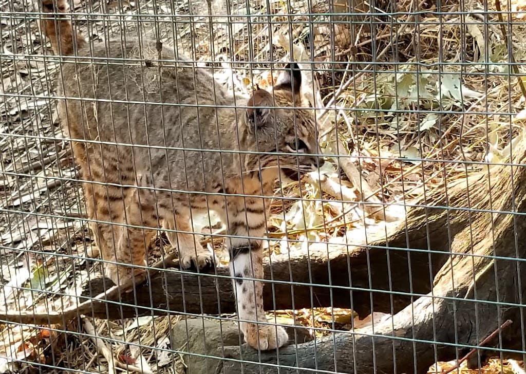 Sonoma County Wildlife Rescue