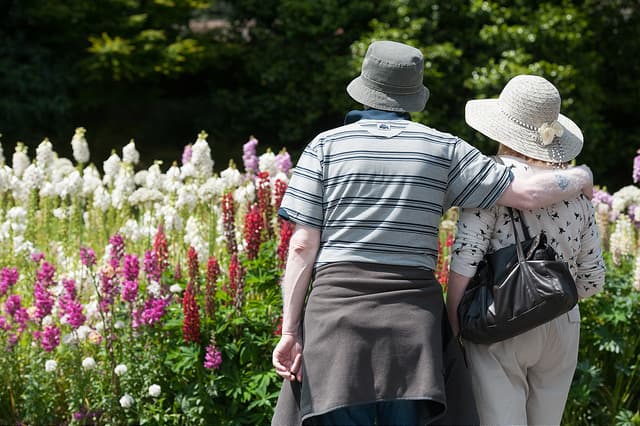 Anne Franks Baum in Bournemouth Gardens