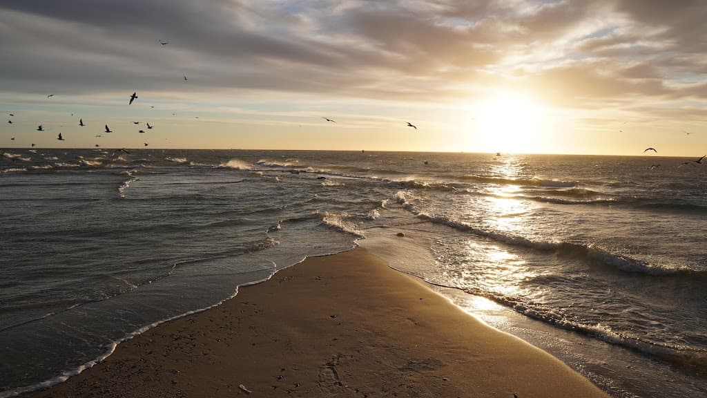 Grenen