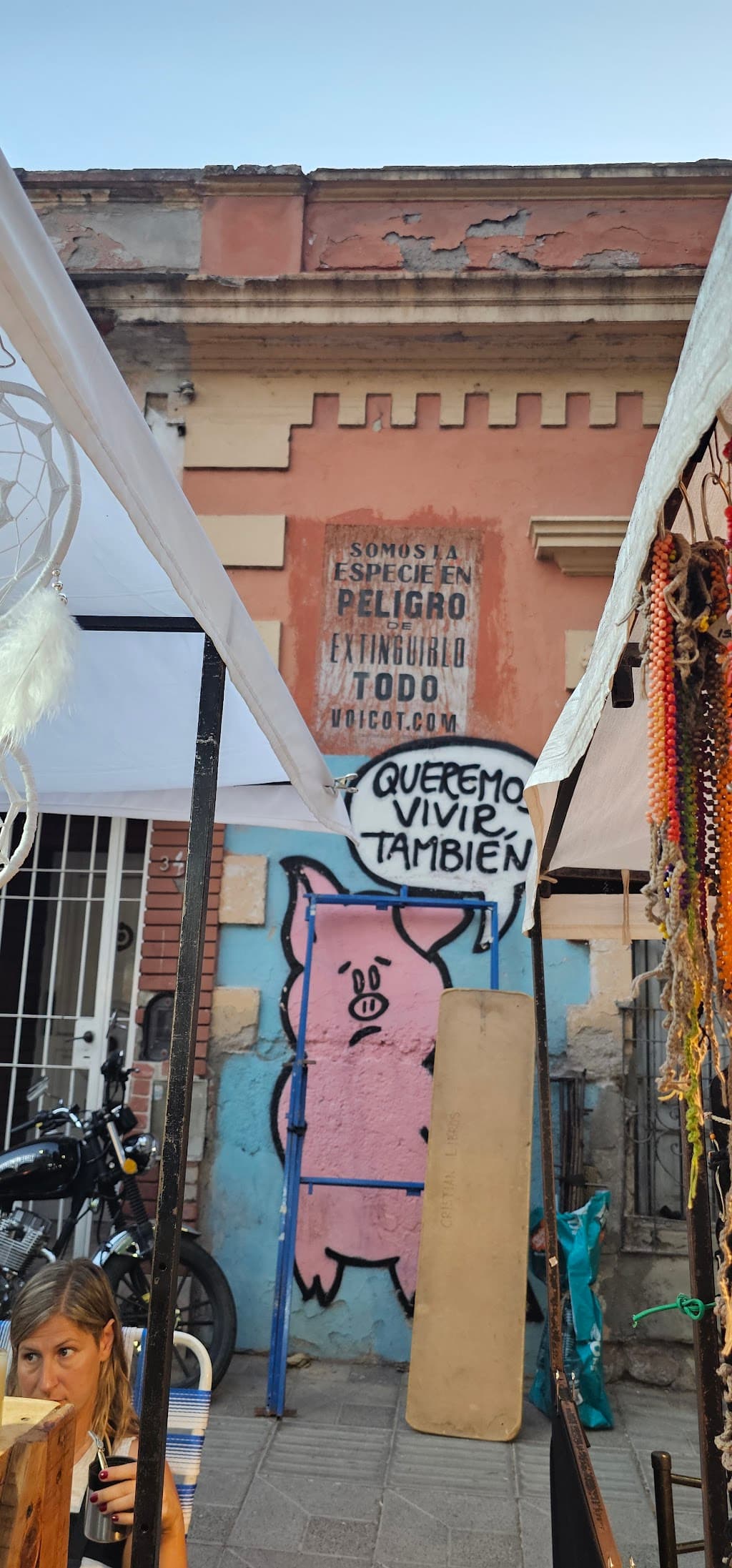 Feria de Güemes Villa 31