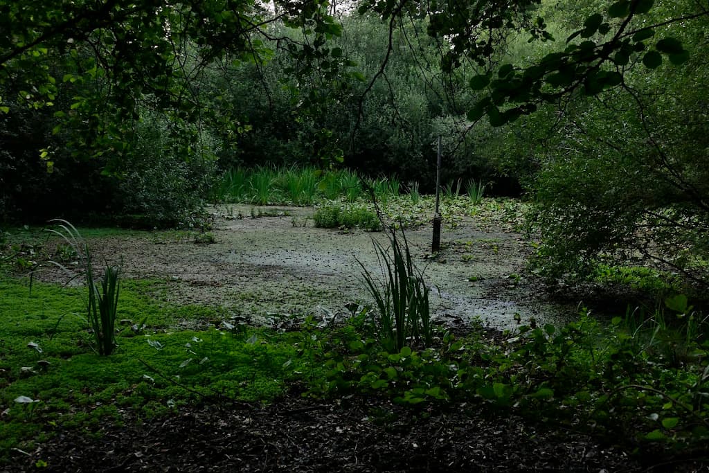 Fleuthkuhlen
