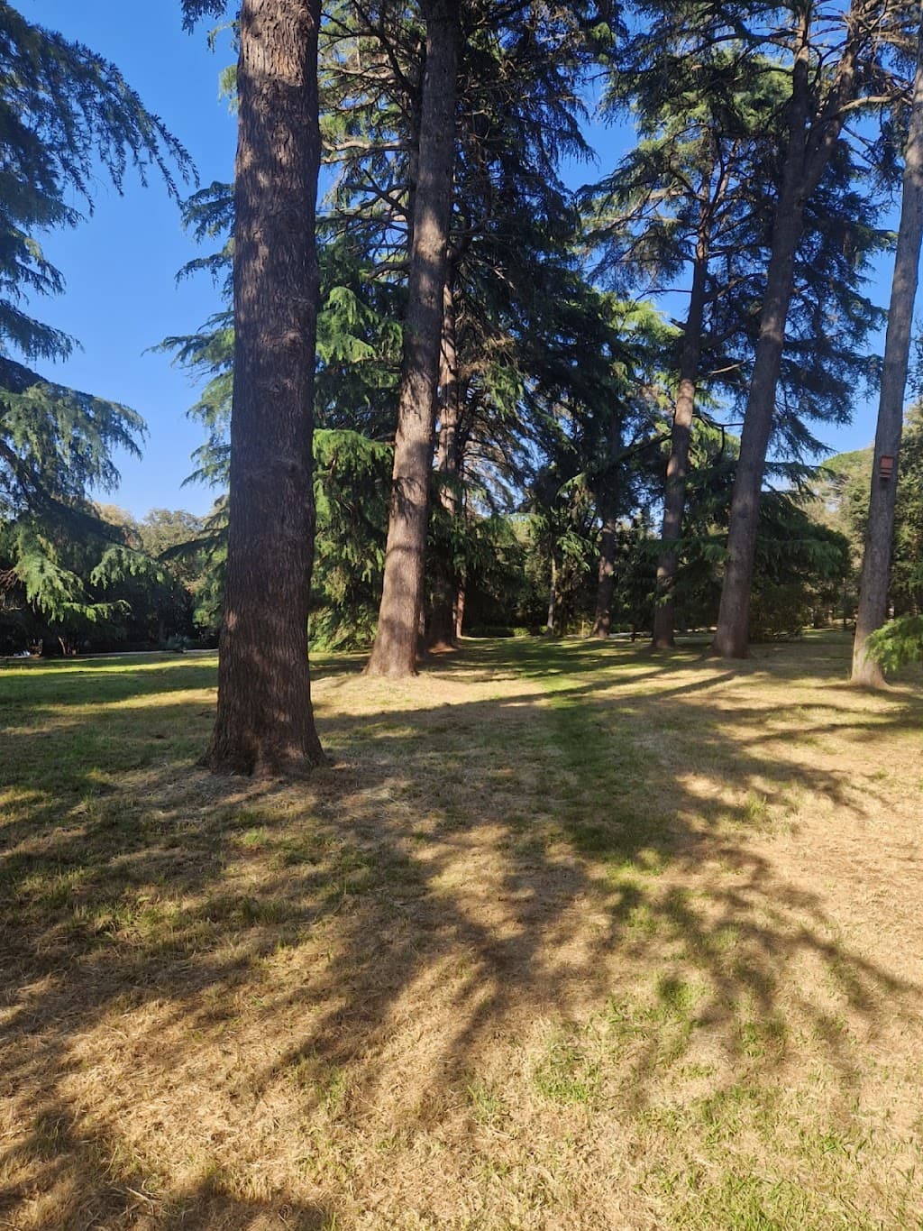 Parkwald Zlatni Rt
