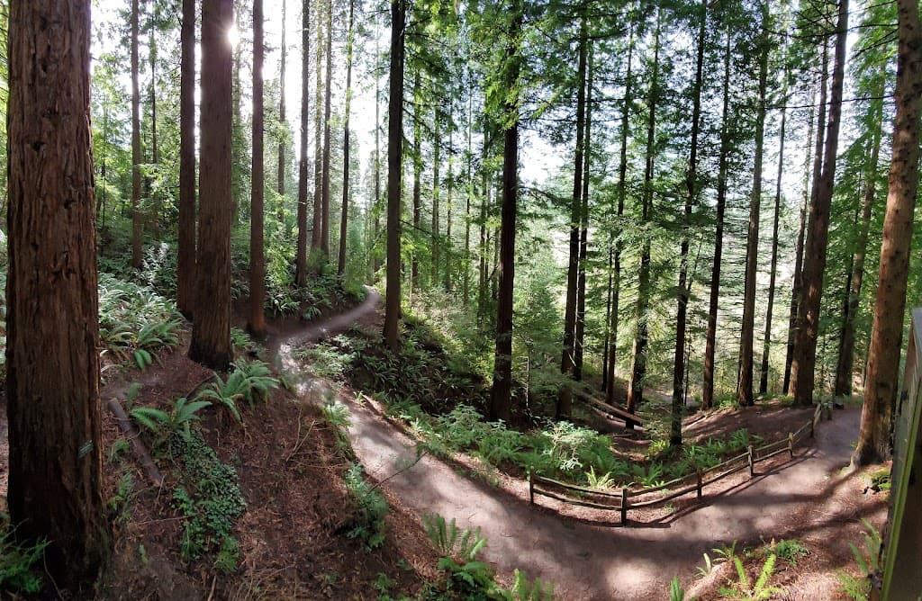 Hoyt Arboretum