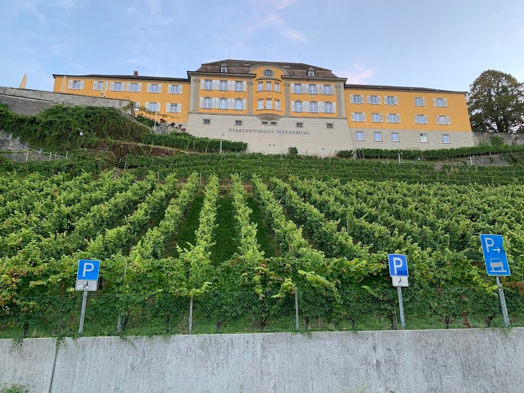 Weingut Schloss Meersburg