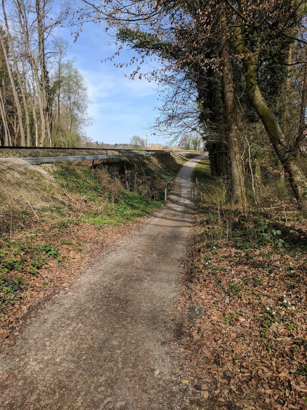 Das Seeholz an der Würm