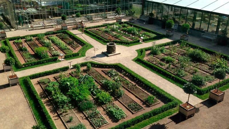 Apothekergarten