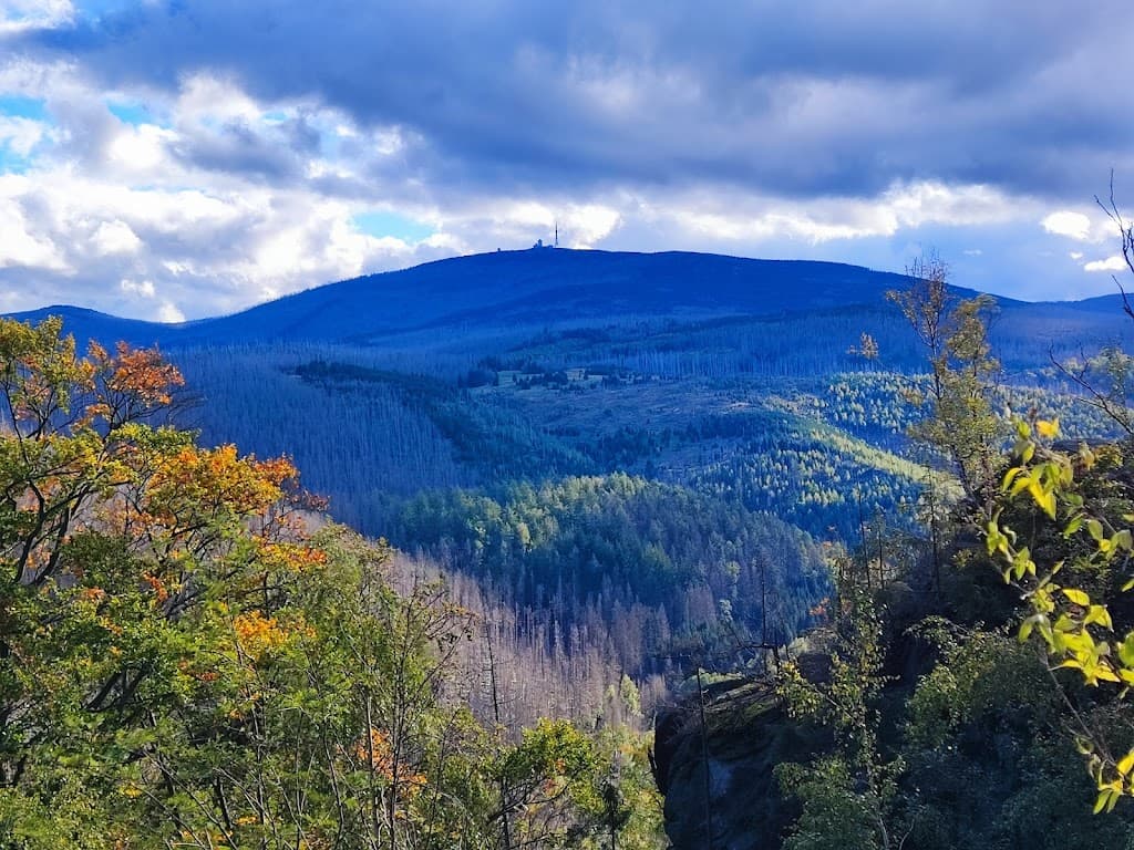 Aussichtspunkt im Harz Nationalpark