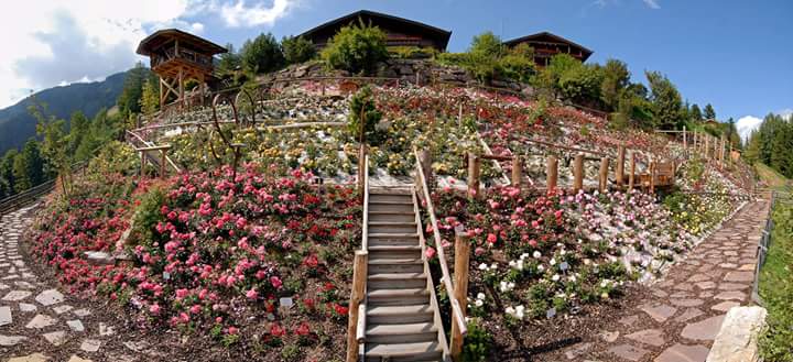 Rosengarten