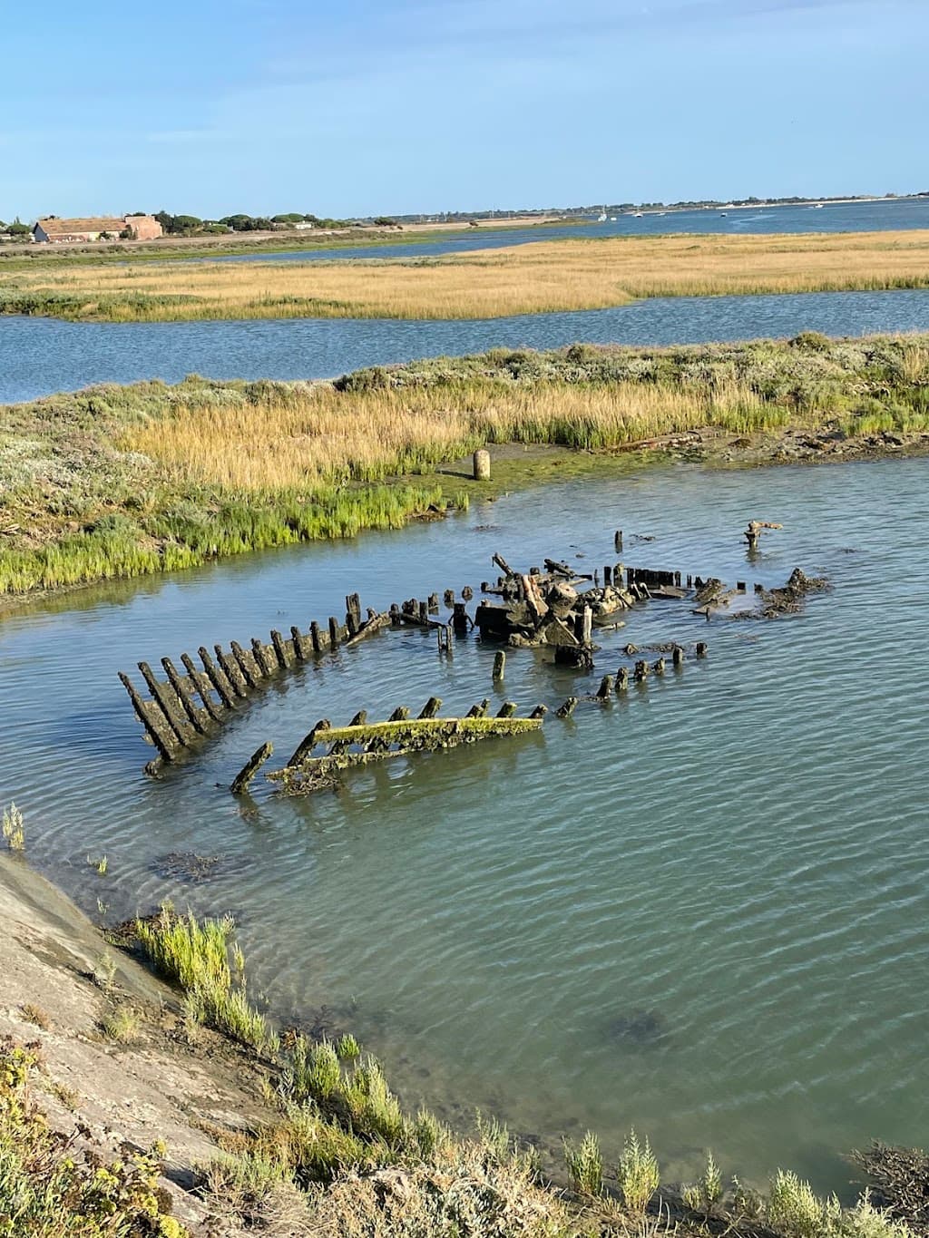 Nationale Naturreservat Lilleau des Niges