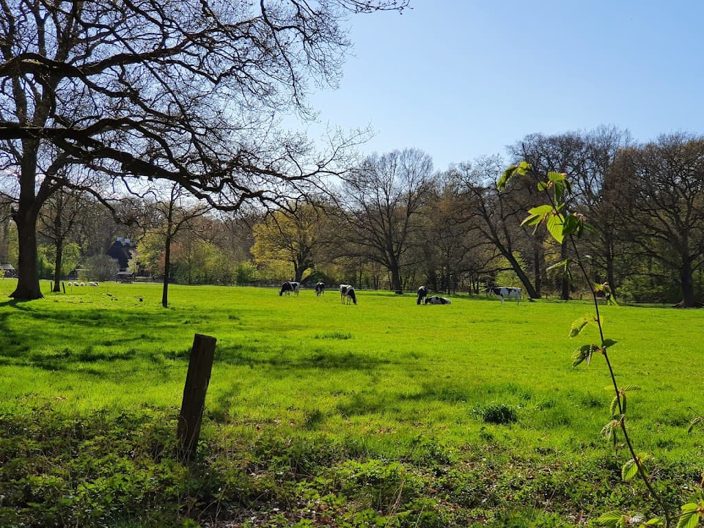 Bürgerpark