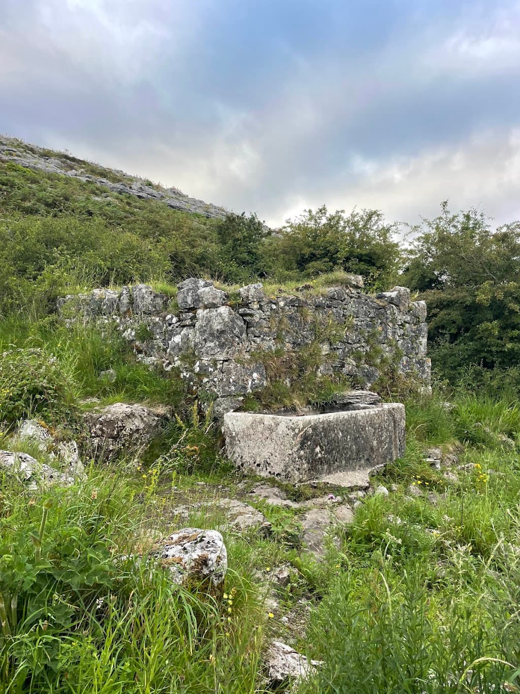 St. Patrick's Brunnen