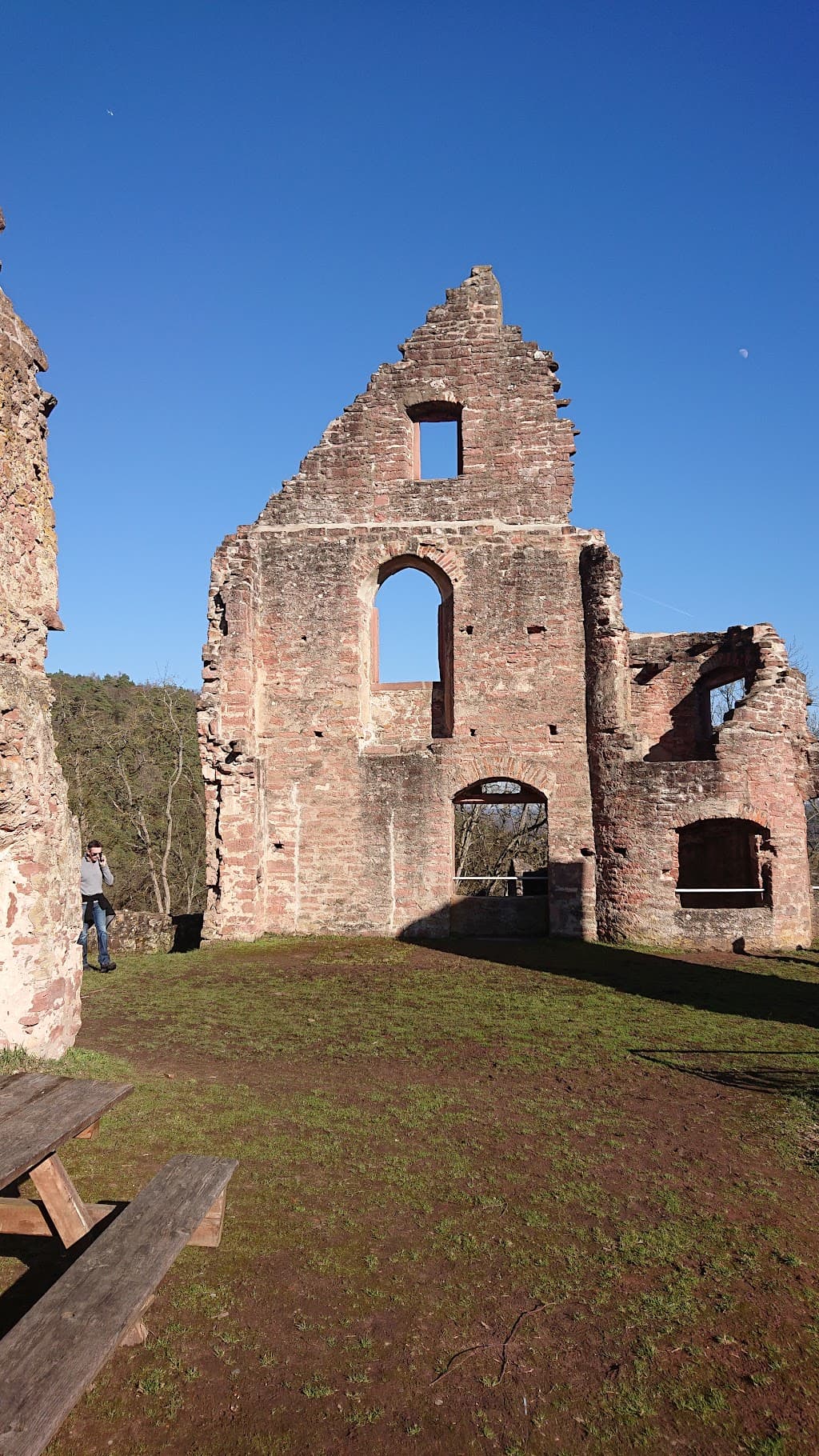 Felder am Ortsrand von Collenberg