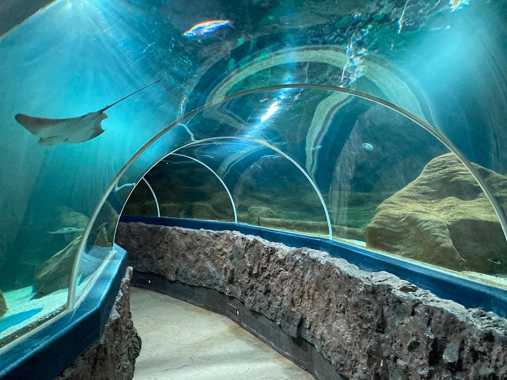 Sylt Aquarium