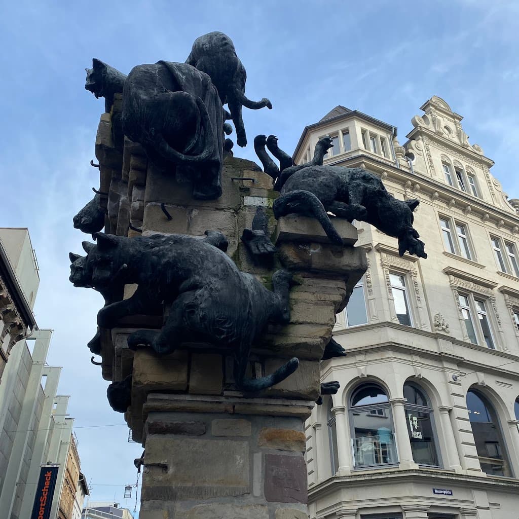Katzenbalgen Braunschweig