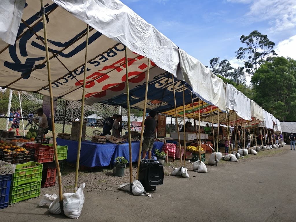 Feria Verde