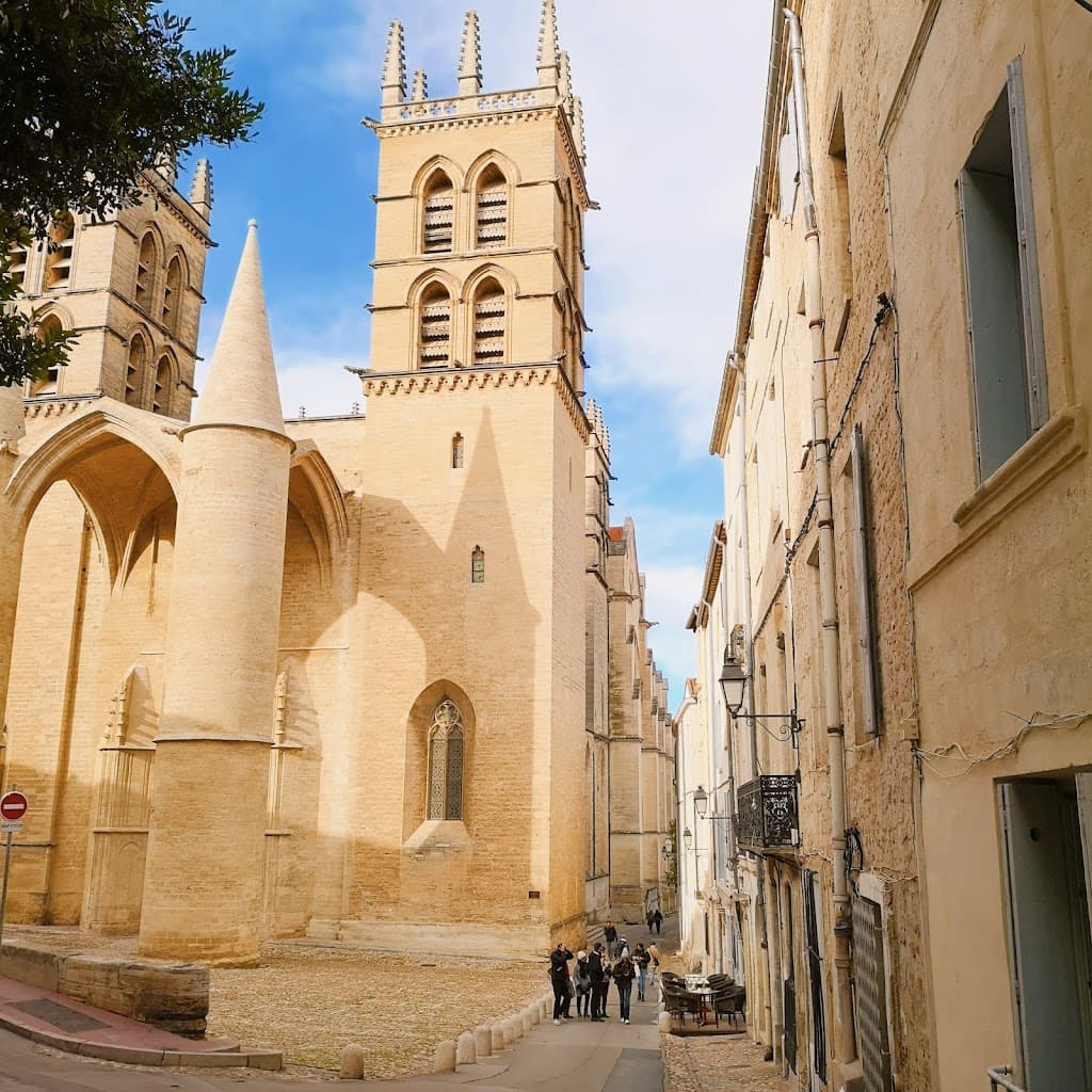 Cathédrale Saint-Pierre de Montpellier