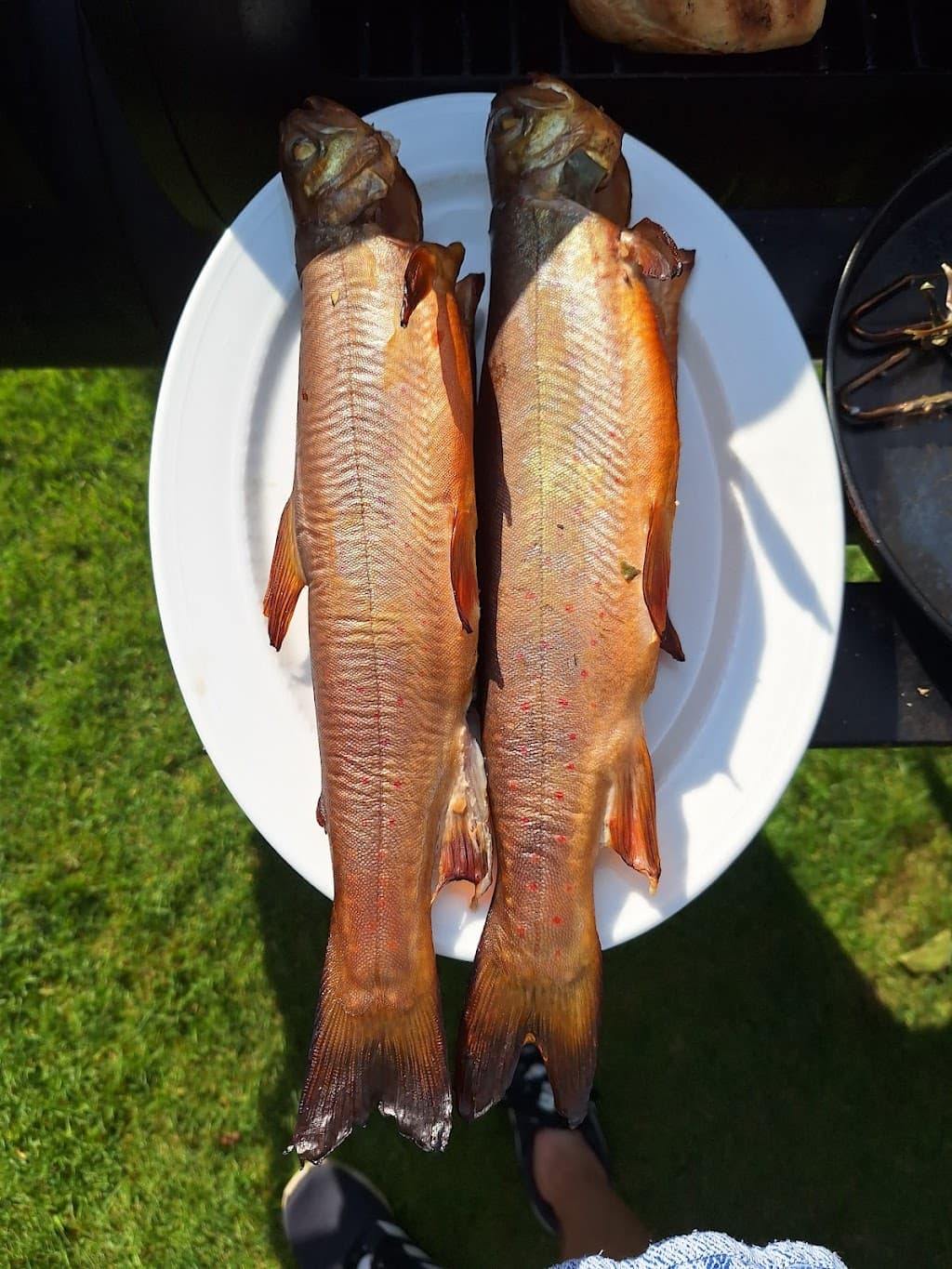 Fischzucht Ruhpolding