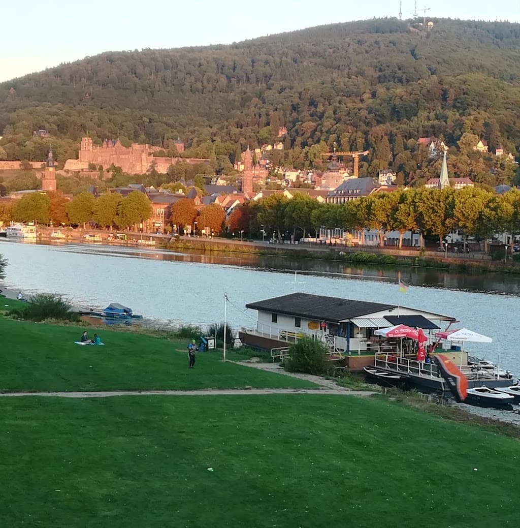 Neckarwiese