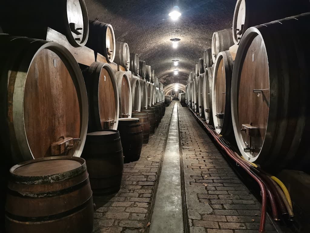 Ilok Wine Cellars DD