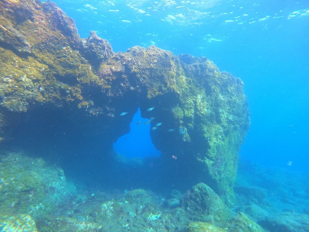 Fan Diving El Hierro