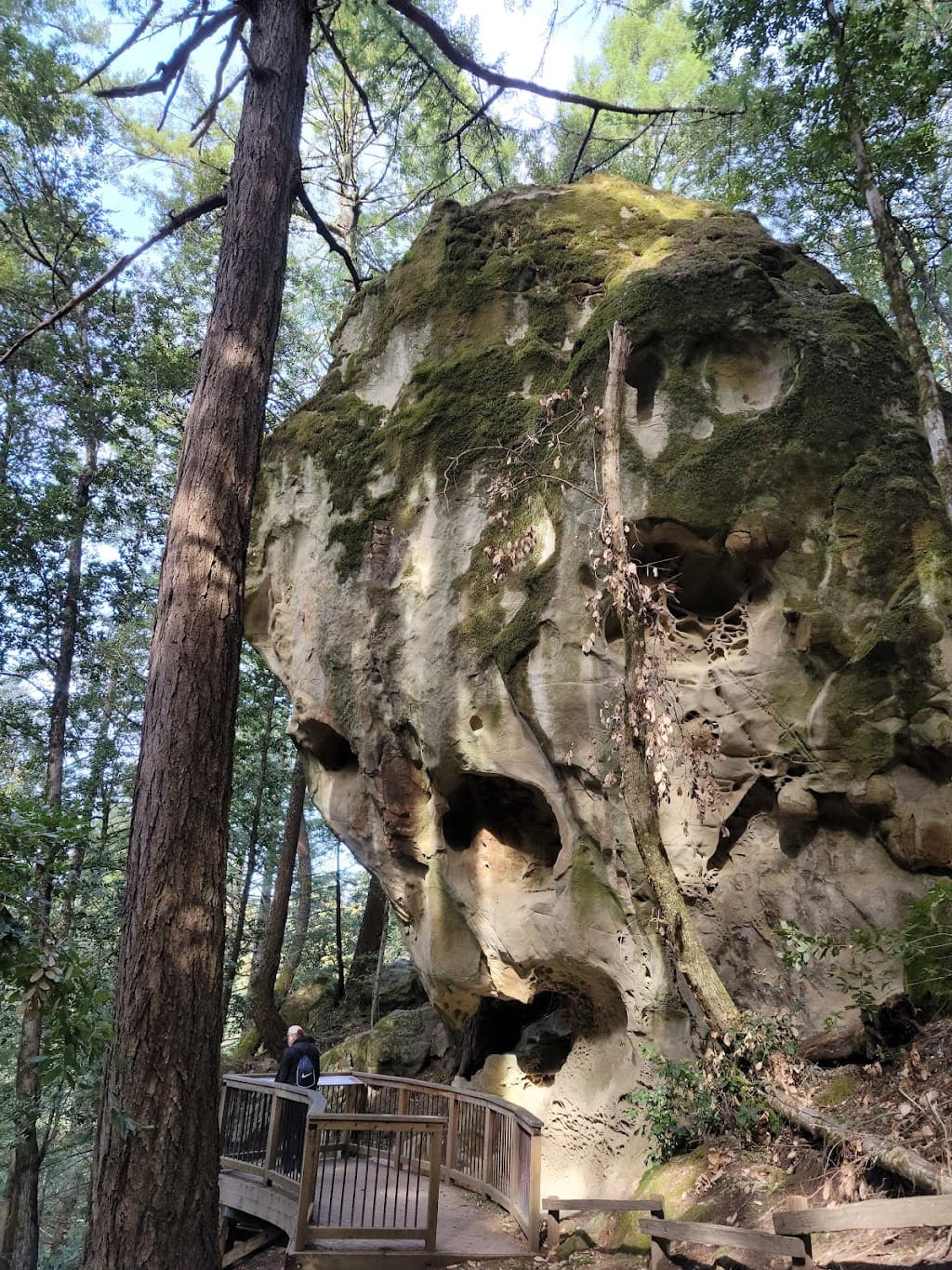 El Corte de Madera Creek Open Space Preserve