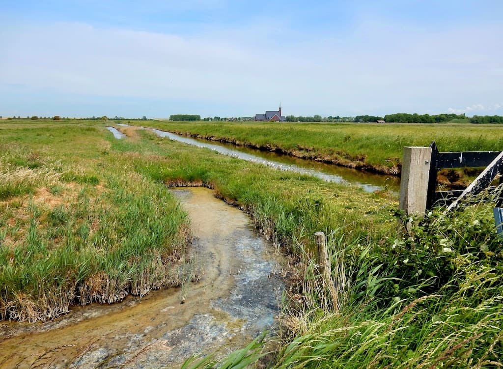 Natuurgebied Yerseke Moer