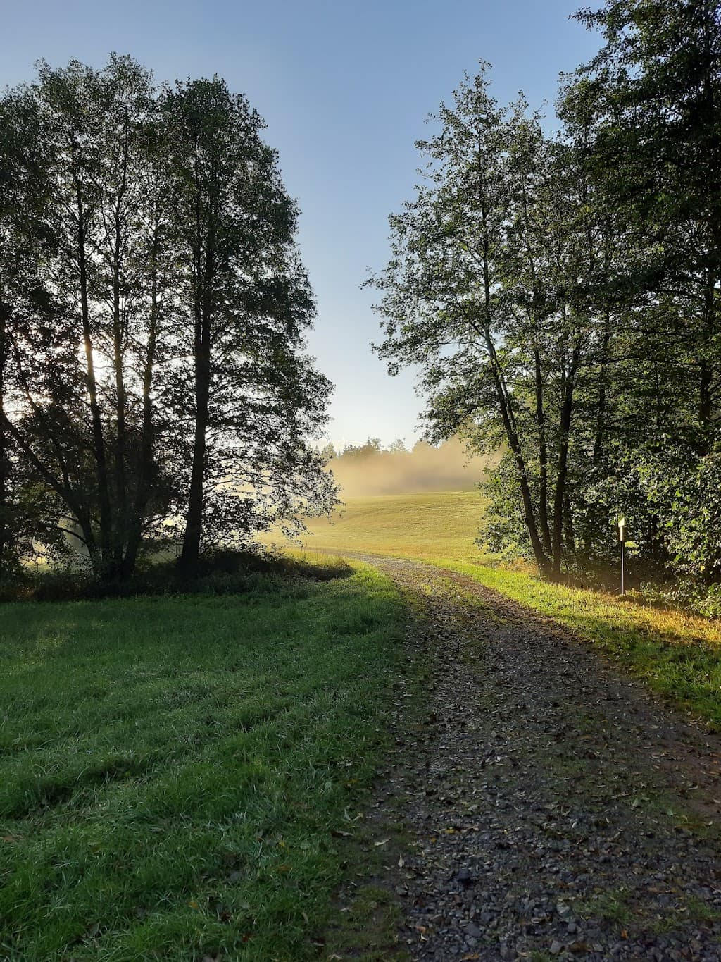 Waldgebiet bei Obererthal