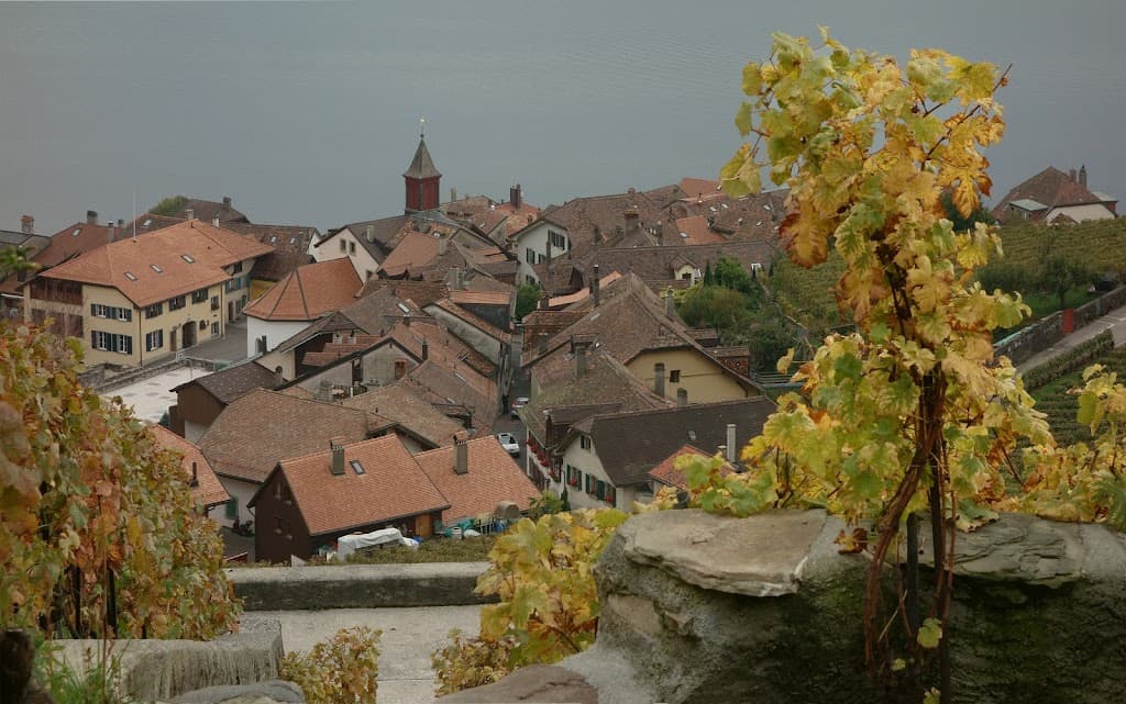 Conservatoire Mondial du Chasselas