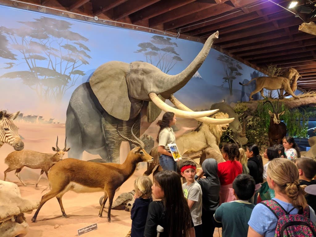 Petaluma Wildlife & Natural Science Museum