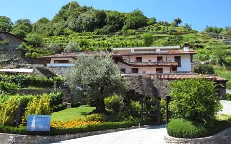 Azienda Agricola Sorsasso