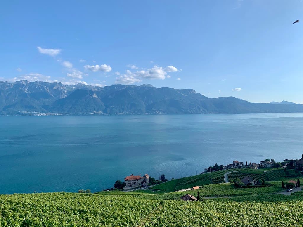 Domaine Bovy