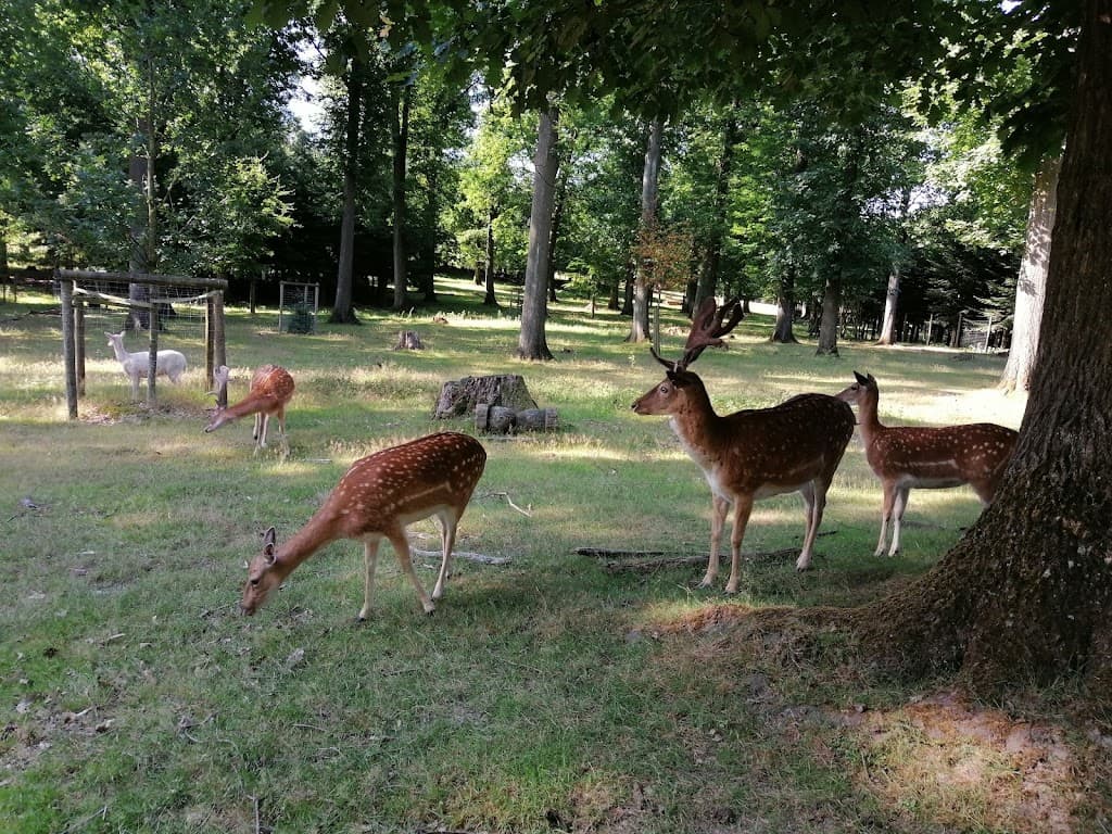 Wildgehege Heissiwald